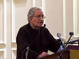 Professor Noam Chomsky
